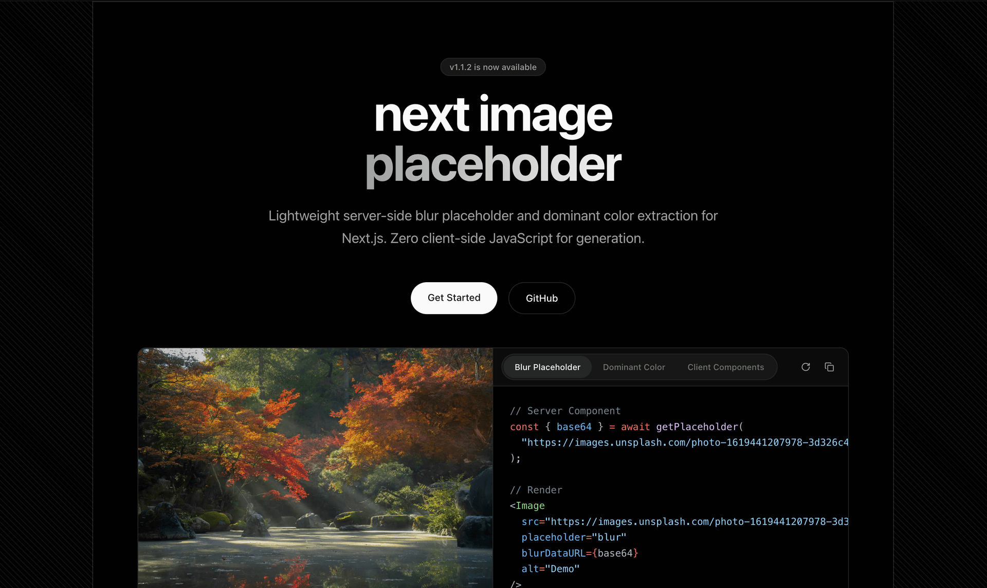 next-image-placeholder npm package demonstration showing blur placeholder loading effect with dominant color extraction for Next.js images